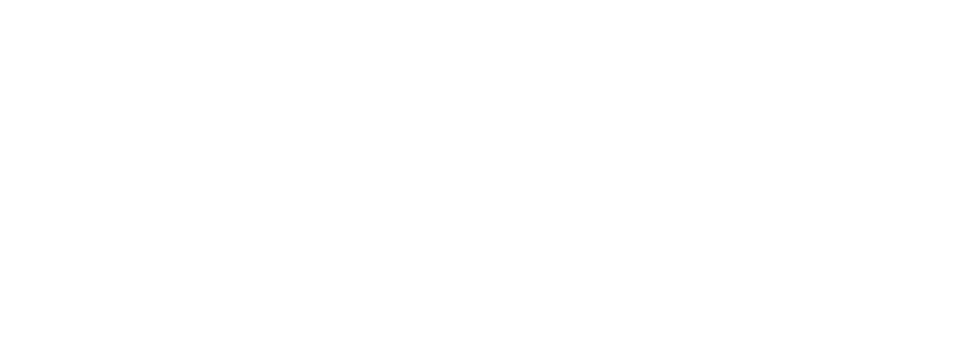 SmartDS Media Labs